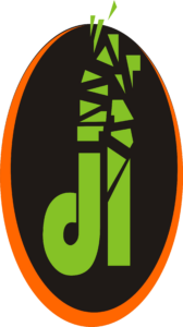 data innovations naija logo